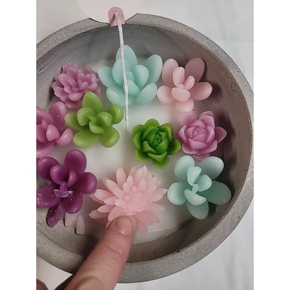 NWT Succulent Flowers Garden Candle Concrete Bowl Sincerely Jules VIRAL‎ TIKTOK - Picture 5 of 10